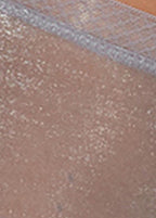 Gossard Glossies Short Silver